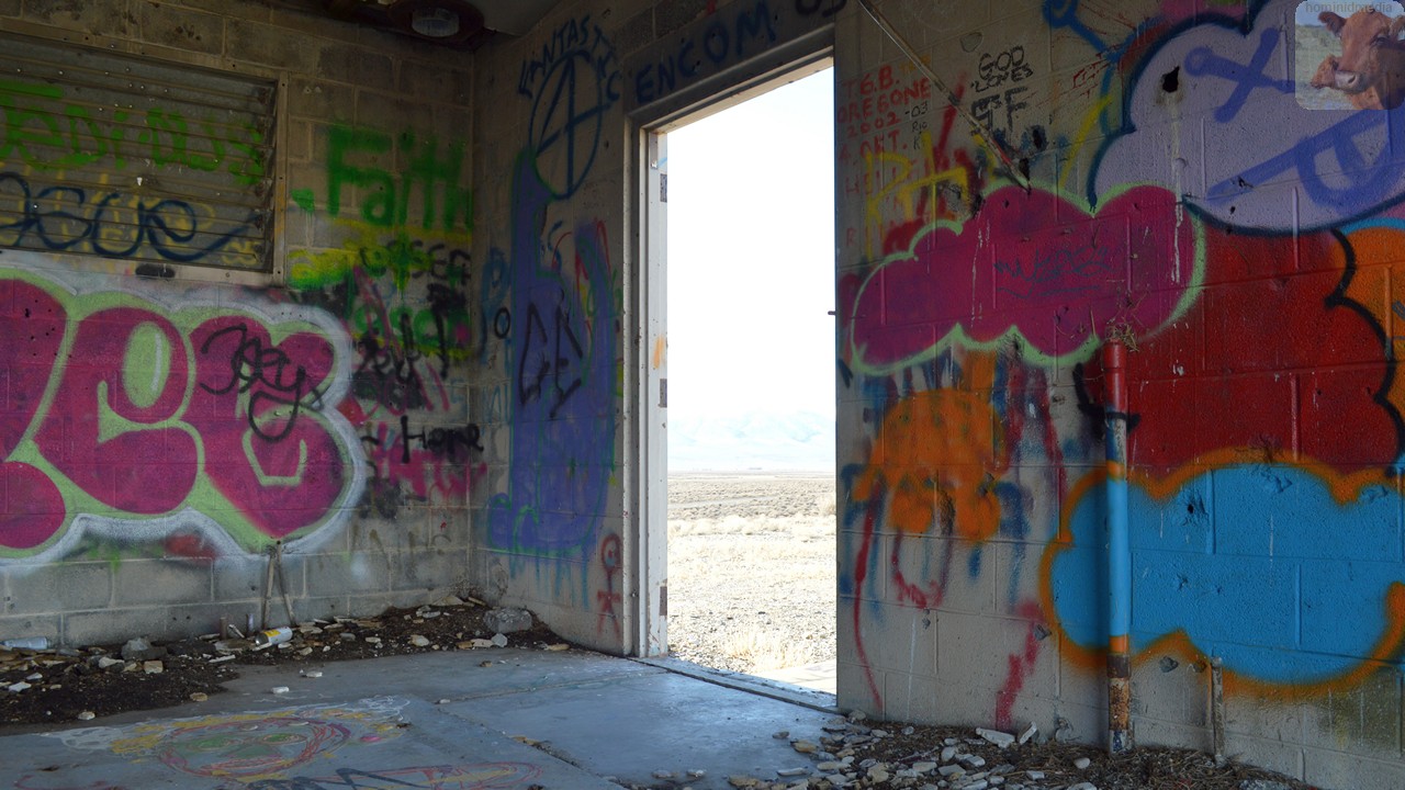 stormandconstantmotion