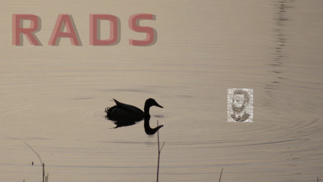 Adventurism, Opportunism and RADS