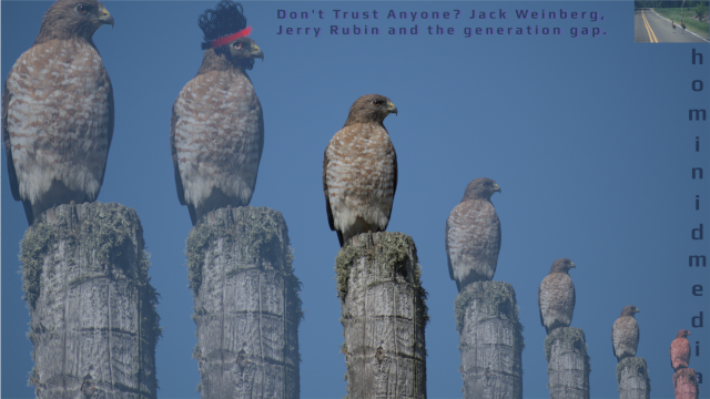 Don't Trust Anyone Over Thirty